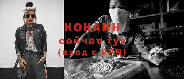 спайс Гусев
