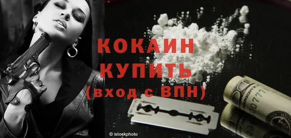 стаф Гусь-Хрустальный