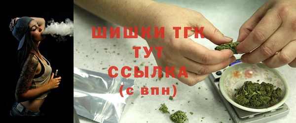 стаф Гусь-Хрустальный