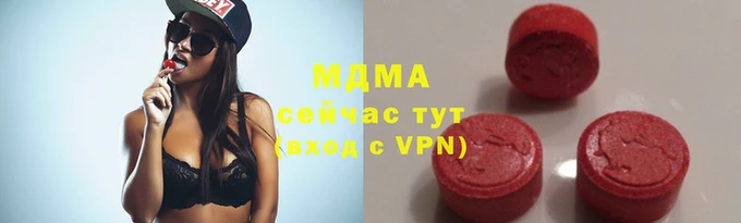 спайс Гусев