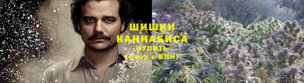 спайс Гусев