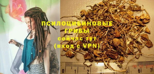 стаф Гусь-Хрустальный