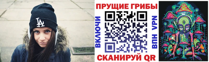 цены   Долинск  Псилоцибиновые грибы Psilocybine cubensis 